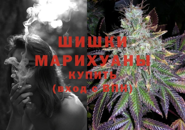 jwh Снежногорск