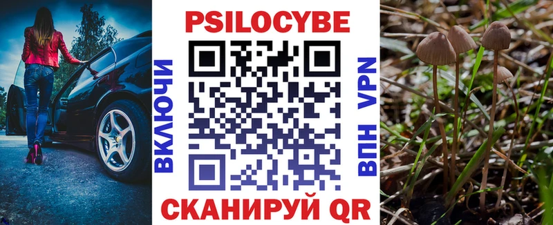 Купить где  Хабаровск  Галлюциногенные грибы мухоморы 